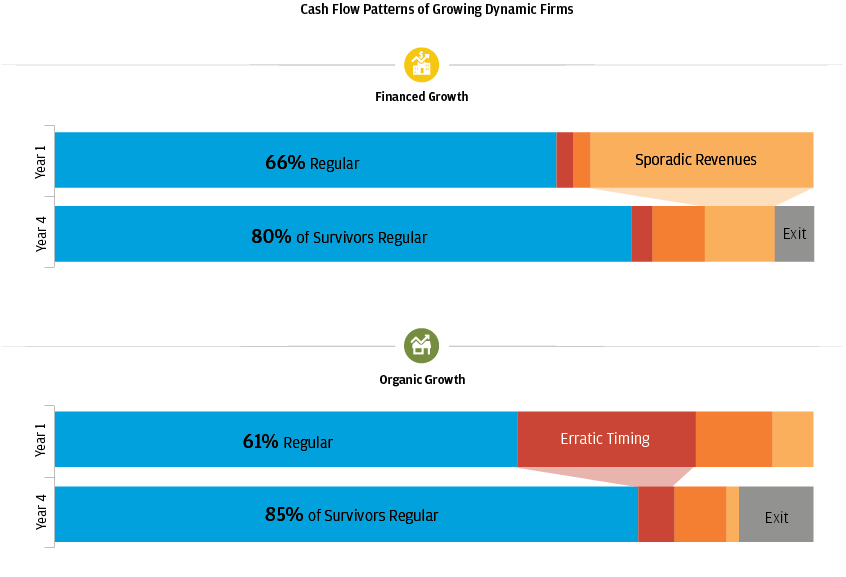 Bar garph describes about Cash flow patterns of growing dynamic firms