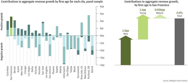 Bar graph describes about Contributions to aggregate revenue growth by firm age for each city, panel sample