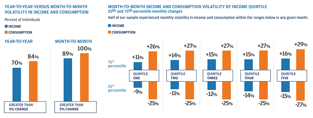 Graph describes about Year-to-Year Versus Month-to-Month Volatility in Income and Consumption