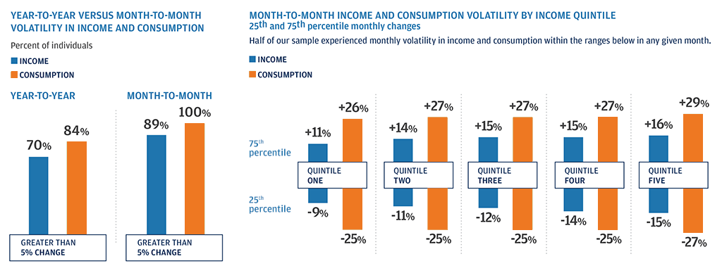 Infographic: Year-to-Year Versus Month-to-Month Volatility in Income and Consumption